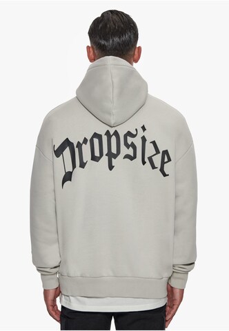 Felpa di Dropsize in grigio