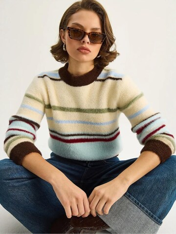 Bianco Lucci Pullover in Mischfarben: Vorderseite