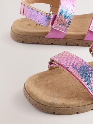 Next Sandal in Pink