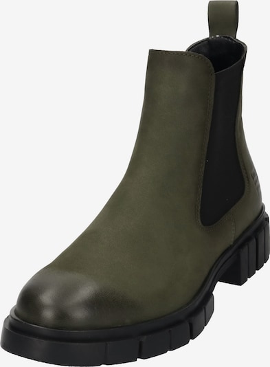 TT. BAGATT Chelsea Boots in oliv, Produktansicht