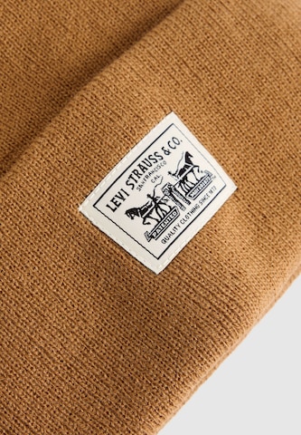 LEVI'S ® Kape | zelena barva