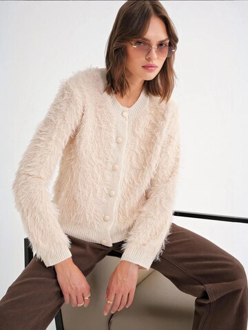 MixRay Gebreid vest in Beige