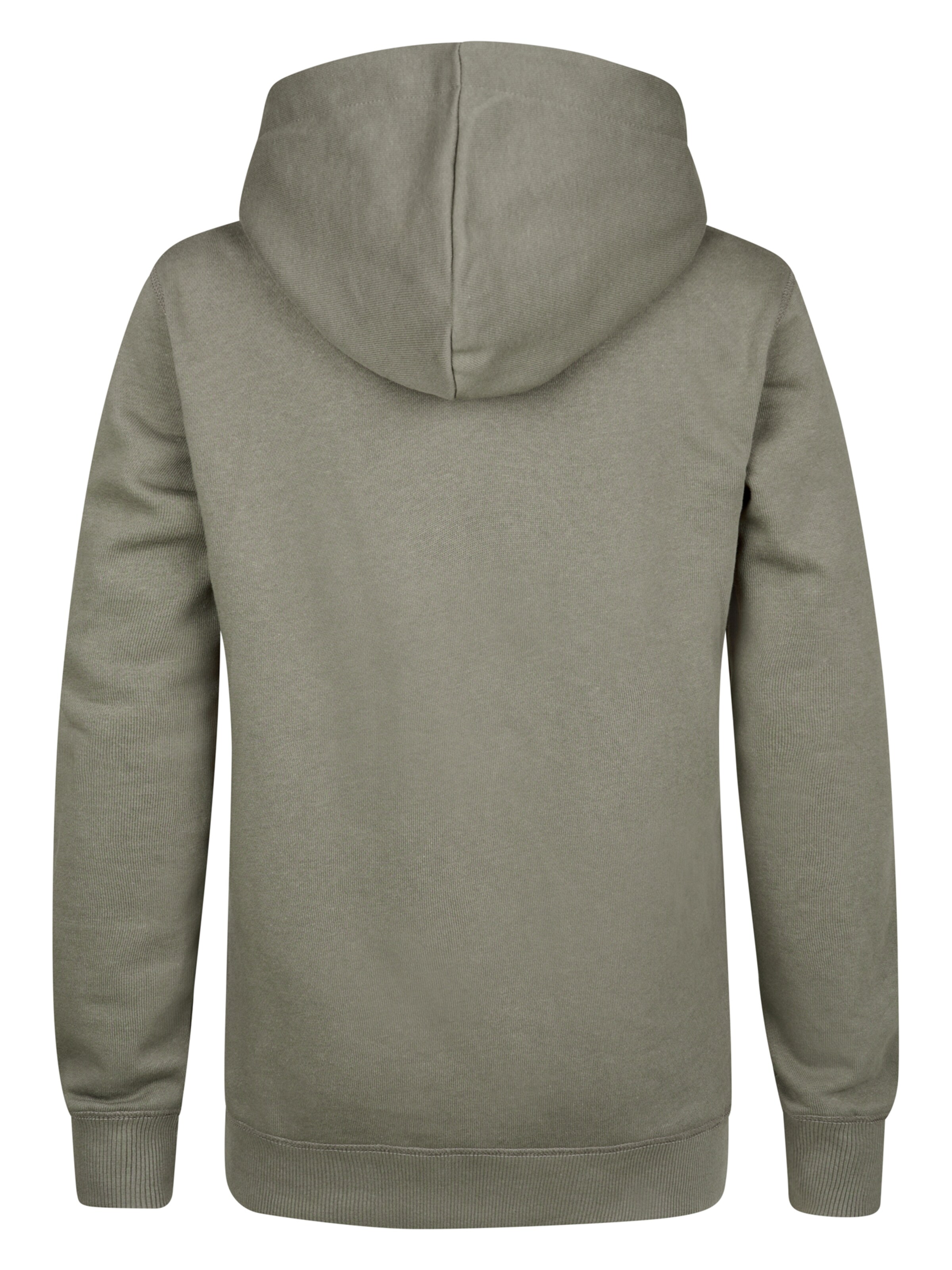 Petrol Industries Sweatshirt in Grey