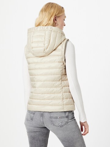 Gilet di TOMMY HILFIGER in beige