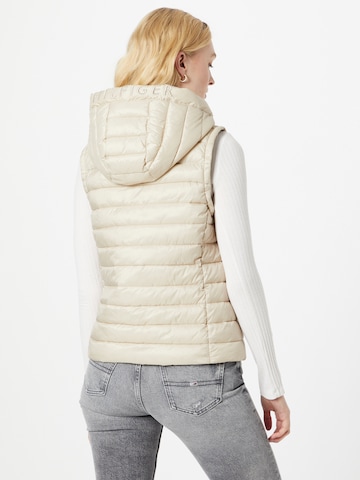 TOMMY HILFIGER Vest in Beige