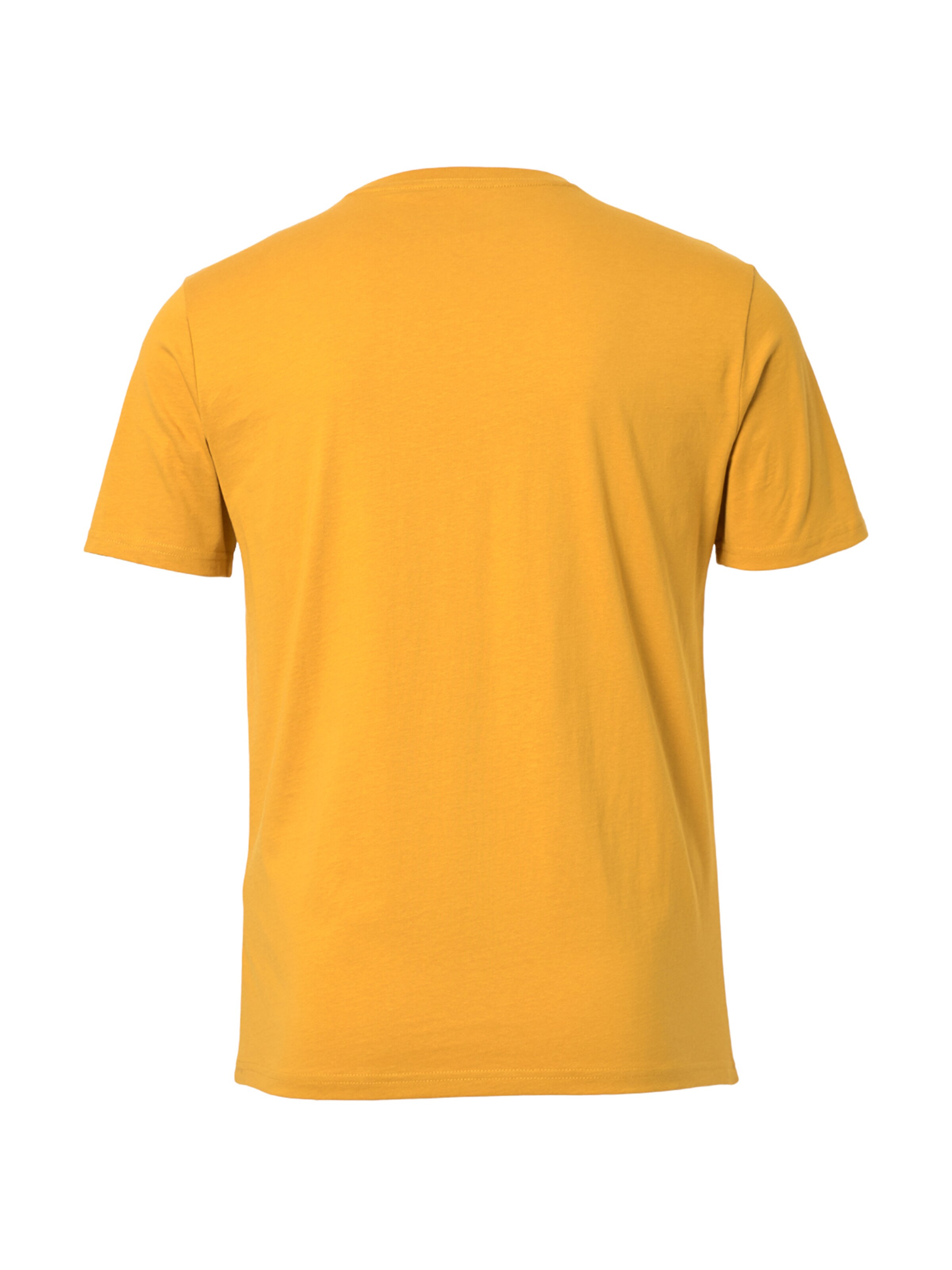 FORSBERG Shirt in Orange