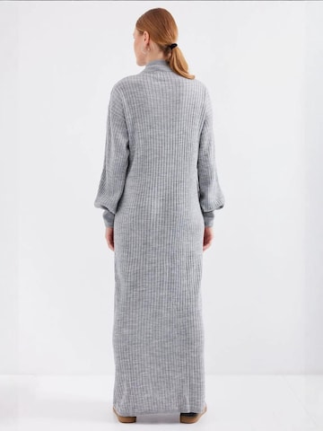 Bigdart Gebreide jurk in Grijs