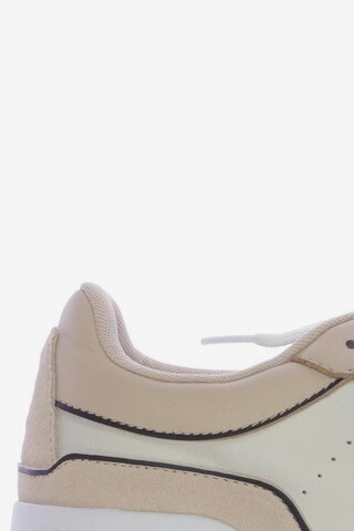 TOMMY HILFIGER Sneakers & Trainers in 41 in Beige