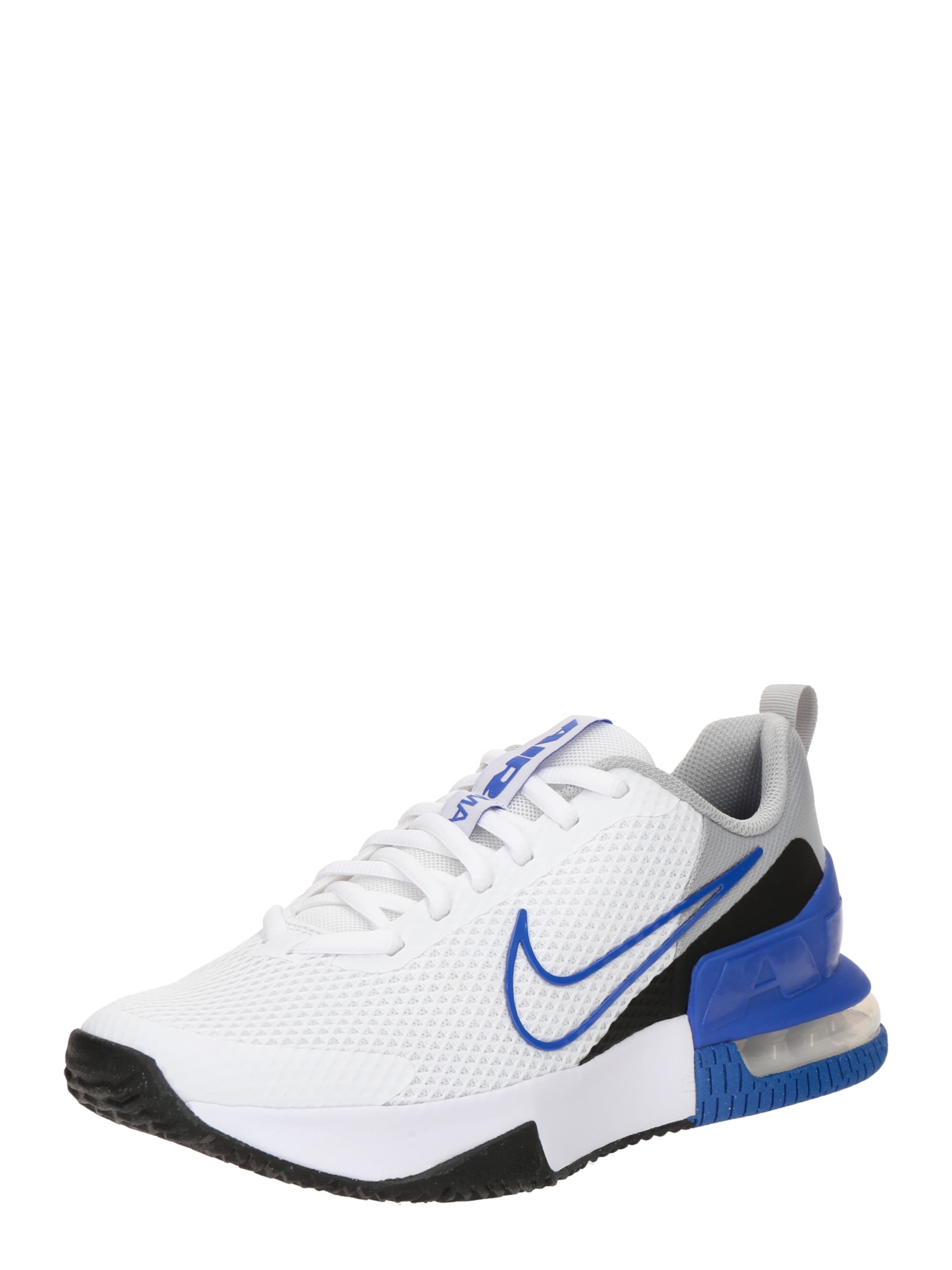 NIKE Спортивная обувь 'Air Max Alpha Trainer 6' в Белый: спереди