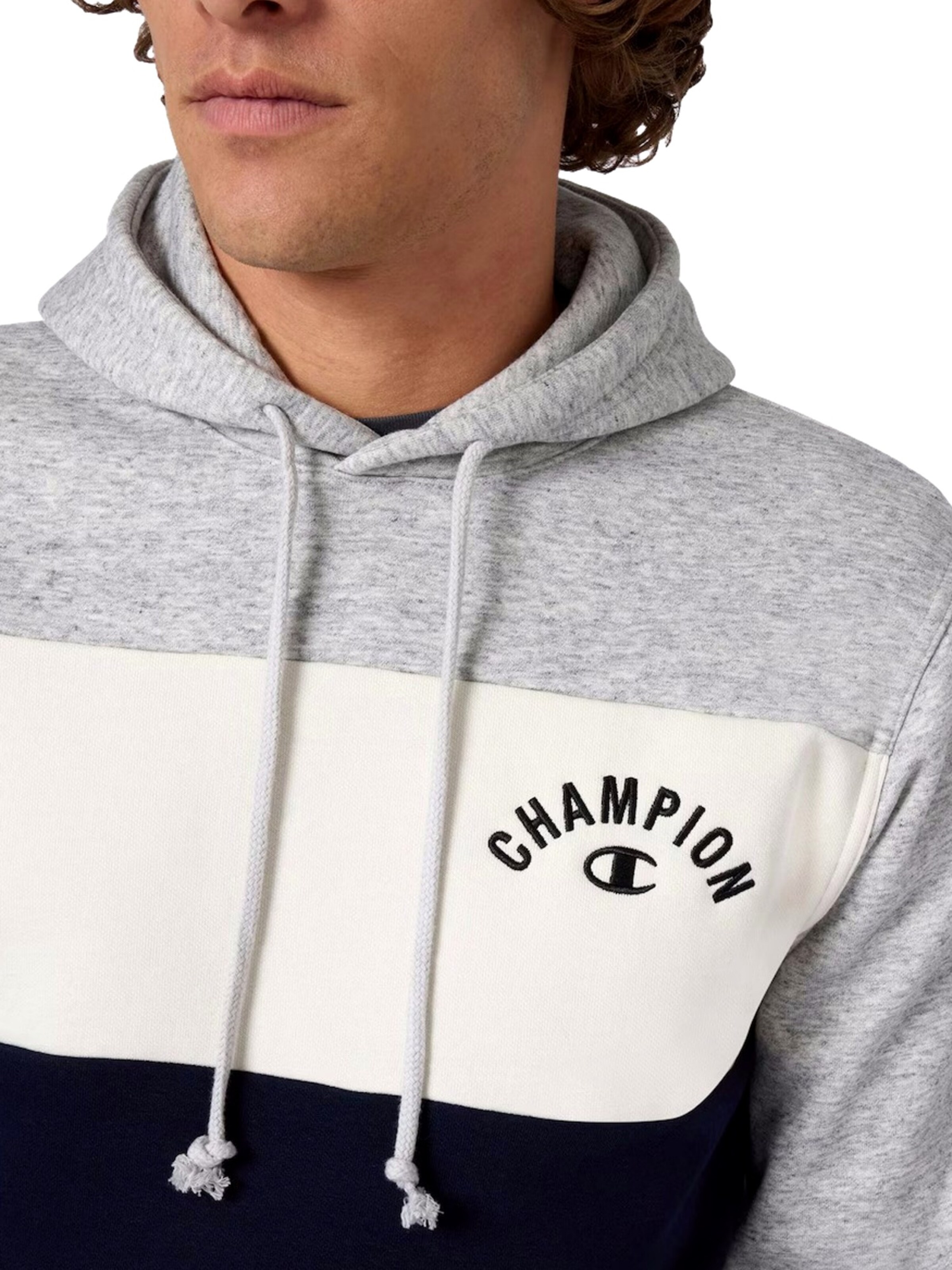 Champion Authentic Athletic Apparel Pullover i grå
