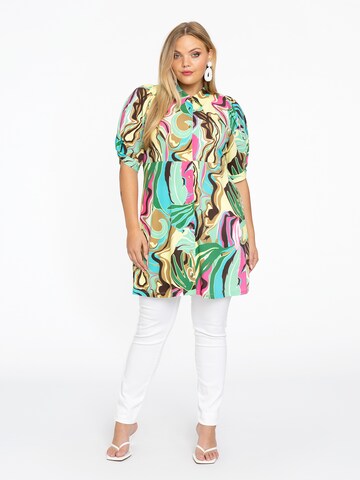 Yoek Blouse in Mixed colors