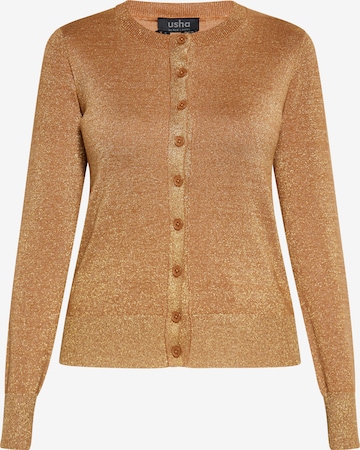 usha BLACK LABEL Knit Cardigan in Brown: front