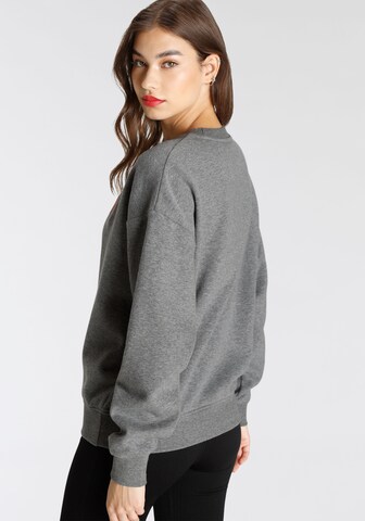 FAYN SPORTS Sweatshirt in Grau