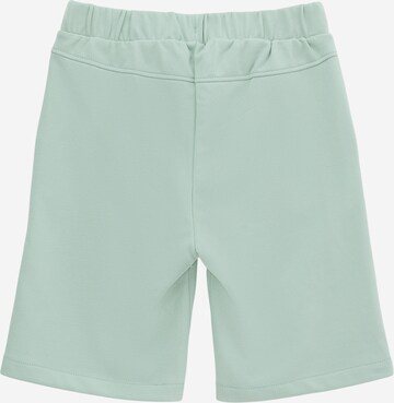 s.Oliver Regular Pants in Green