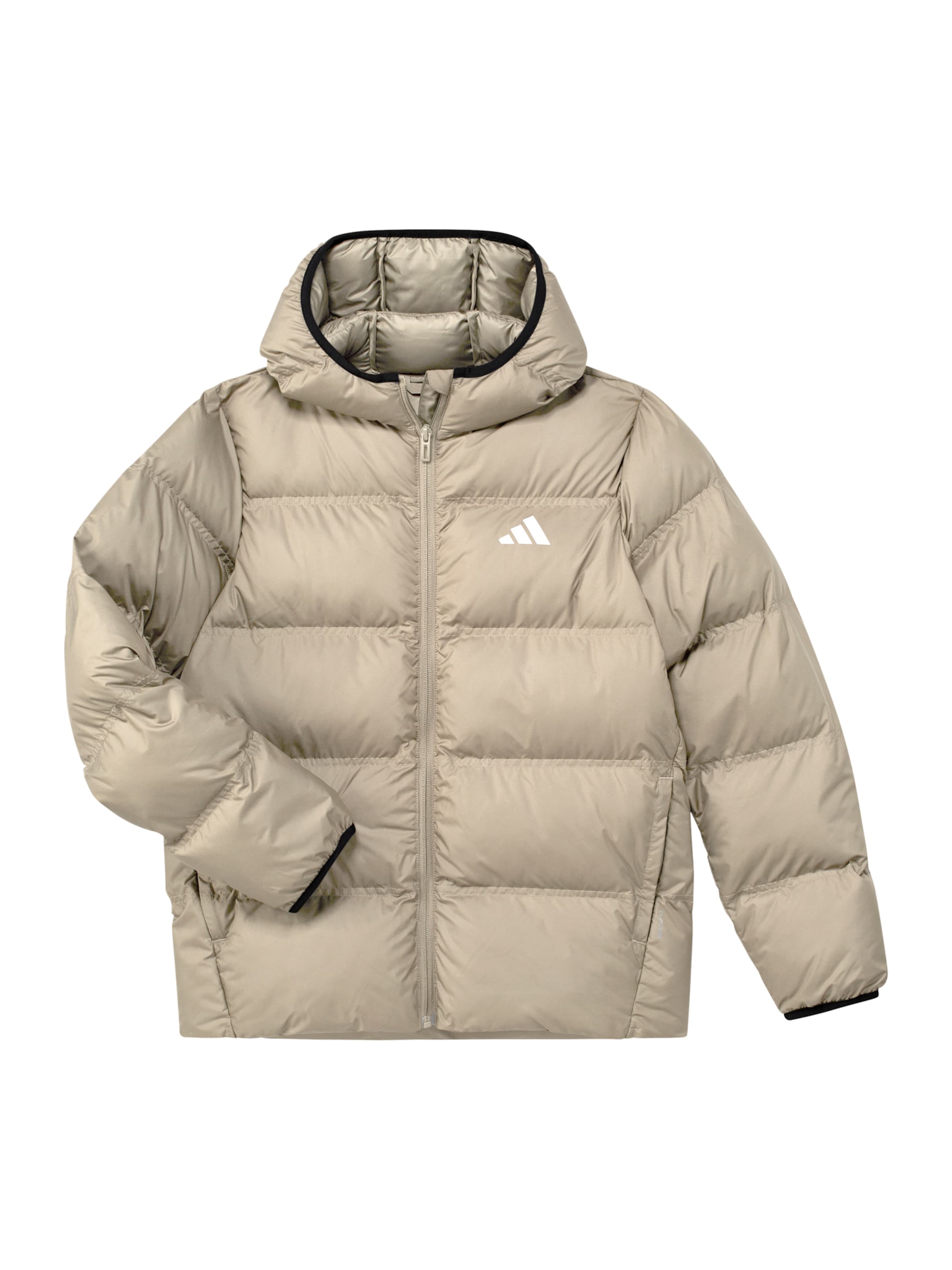 ADIDAS SPORTSWEAR Sportjacka i grå: framsida