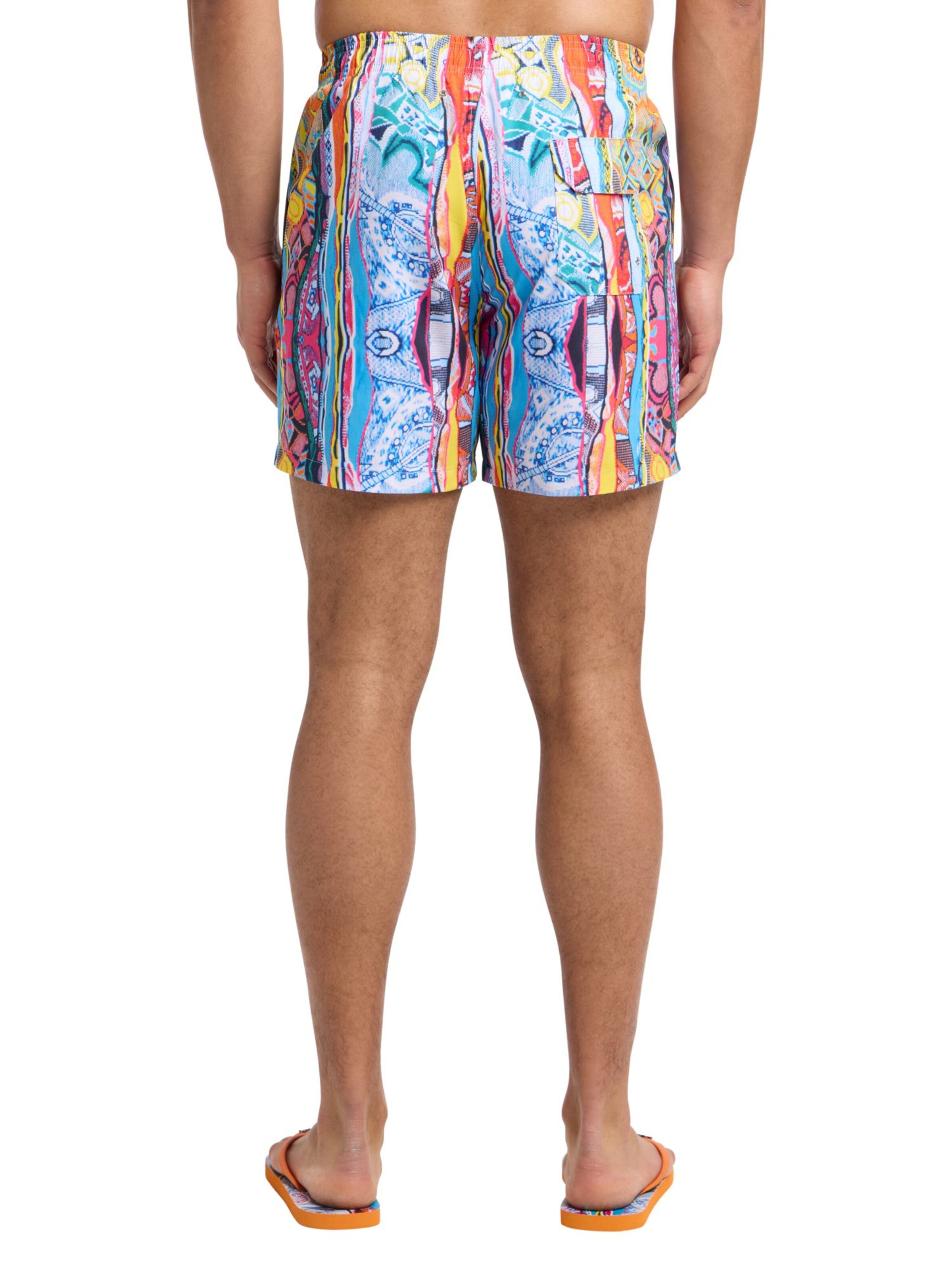 Carlo Colucci Regular Zwembroek 'Eiberger' in Gemengde kleuren