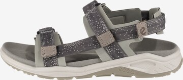 Sandales de randonnée 'X-Trinsic' ECCO en gris