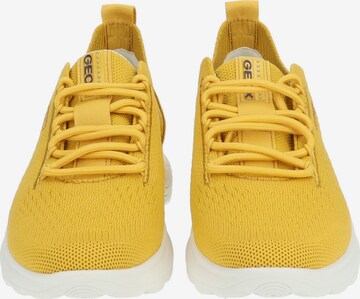 GEOX Sneaker in Gelb