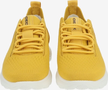 Sneaker bassa di GEOX in giallo