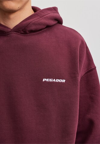 Pegador Sweatshirt in Rood
