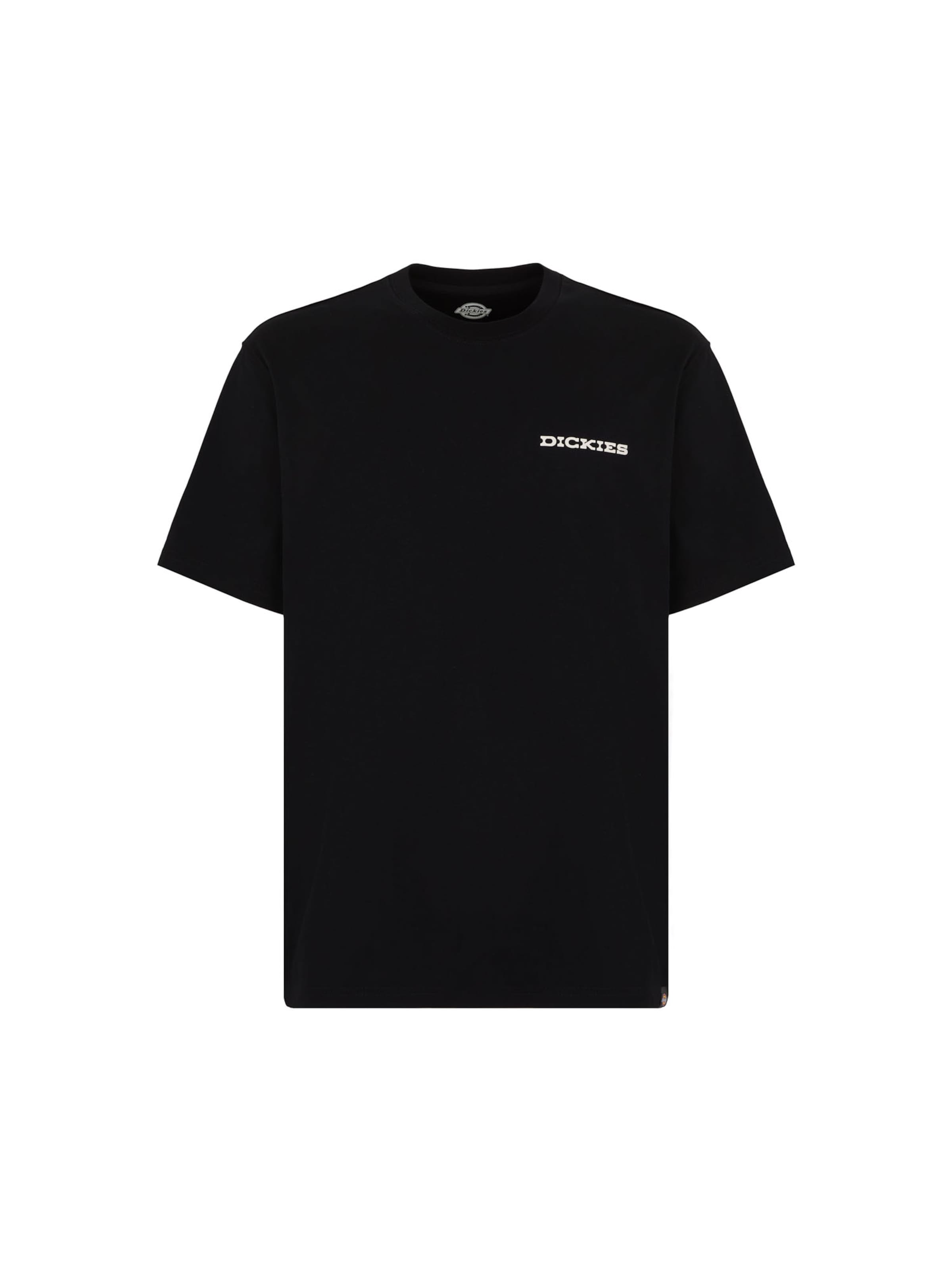 T-Shirt 'LANDASCAPE' DICKIES en noir : devant