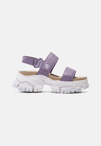 TIMBERLAND - Sandálias com tiras 'Adley' em roxo