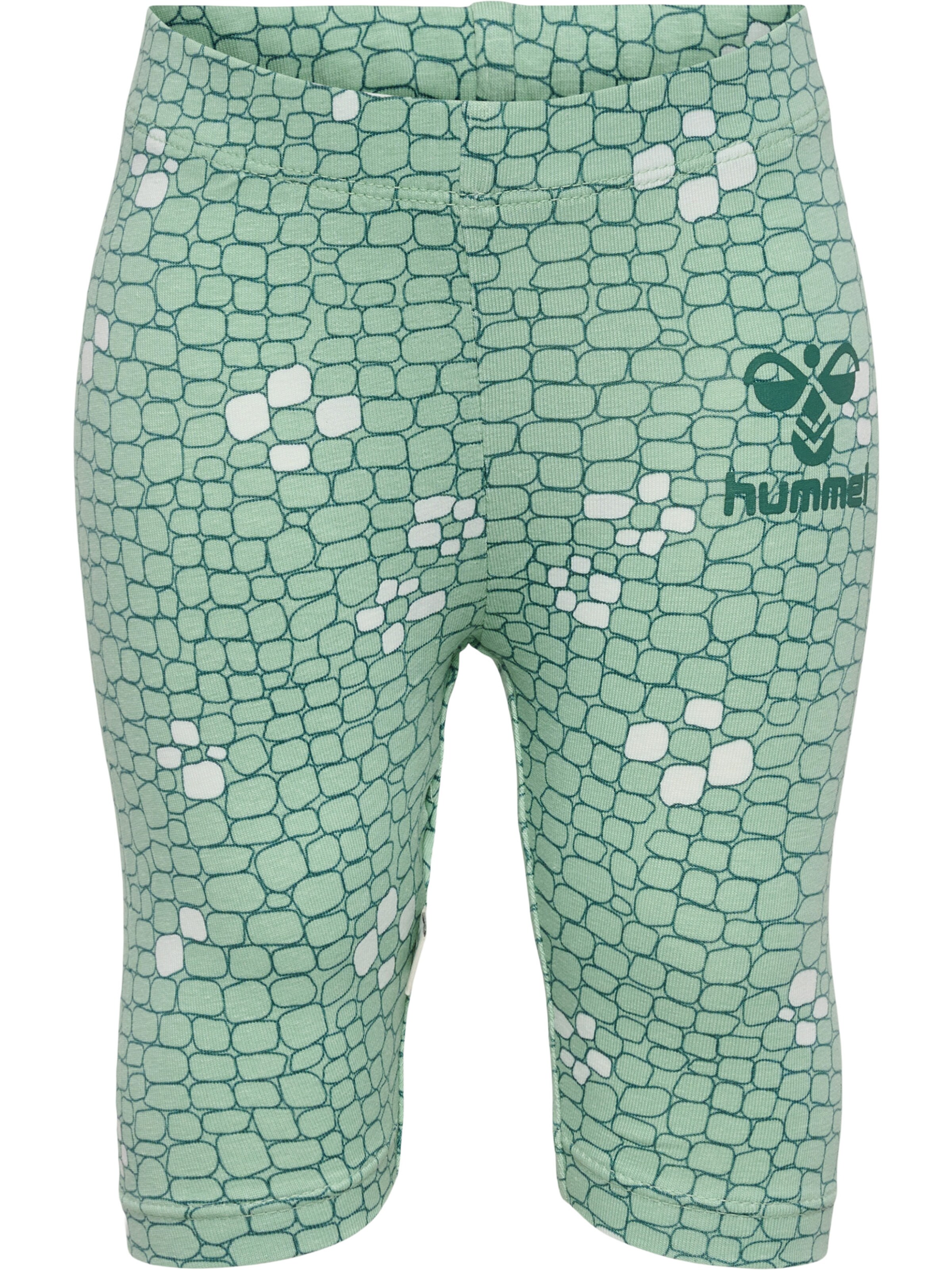 Hummel Slim fit Leggings 'Zanzi' in Green: front
