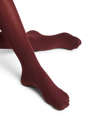 FALKE Tights 'Pure Matt' in Red