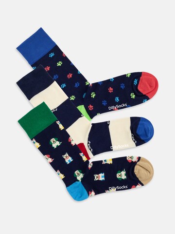 DillySocks Socken in Mischfarben