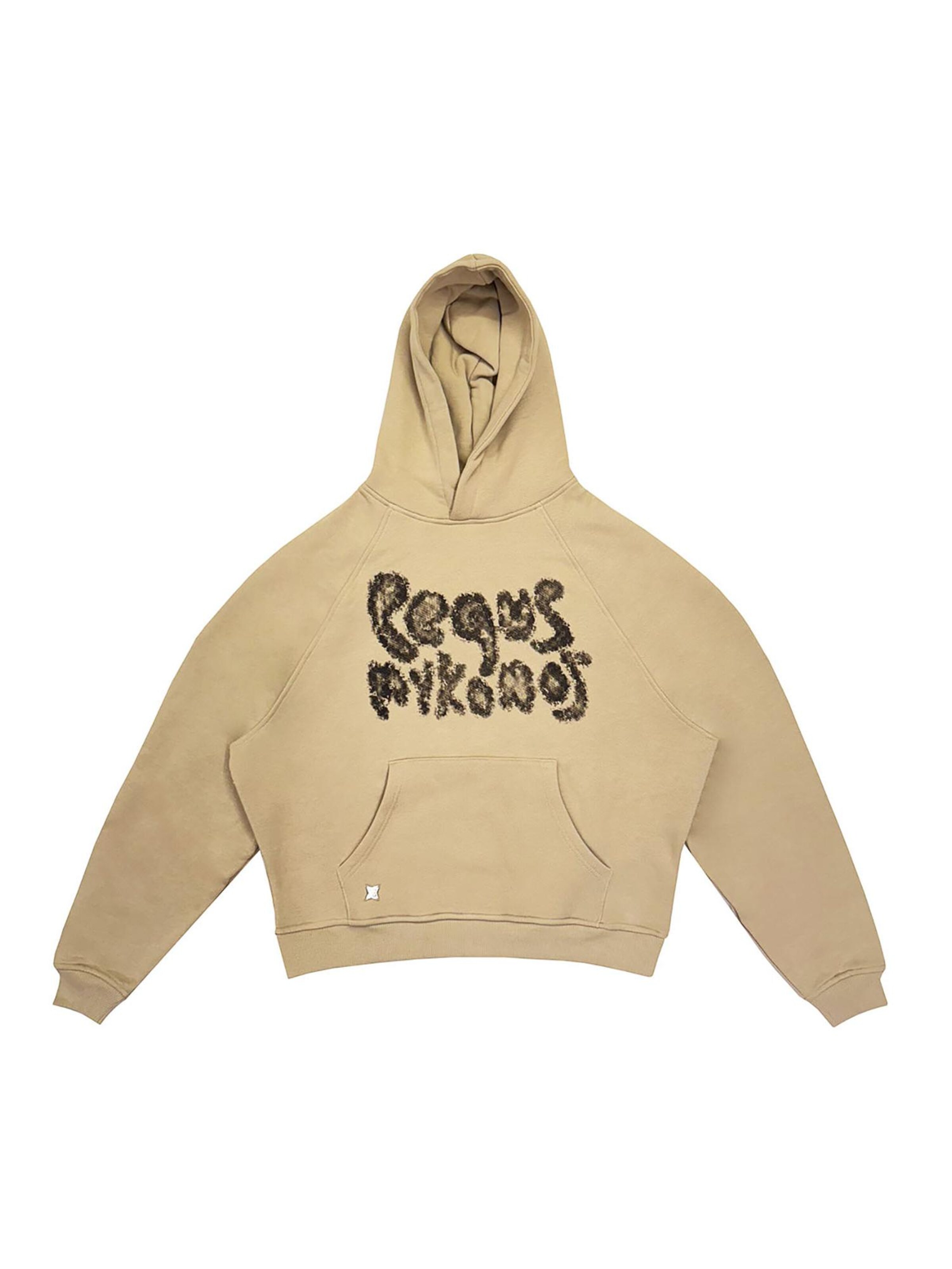 Pequs Sweatshirt 'Bubble' in Brown: front