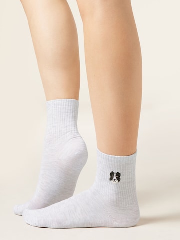 CALZEDONIA Socks 'Dog' in Grey: front