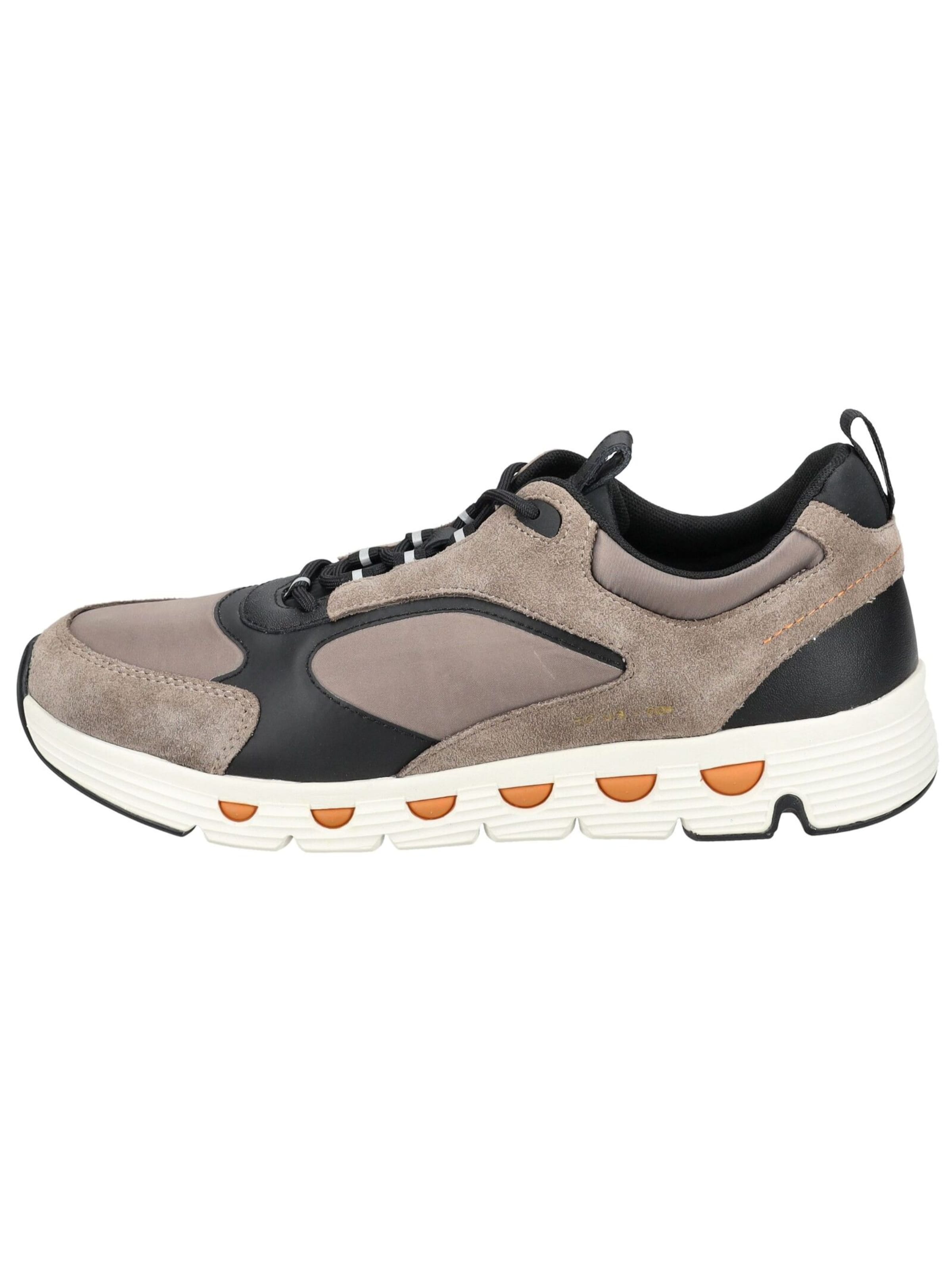 Baskets basses 'Spherica Ecub-4' GEOX en gris