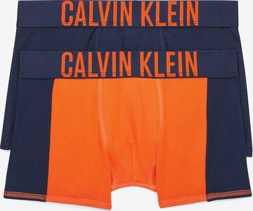Calvin Klein Underwear Underpants 'Intense Power' in Blue: front