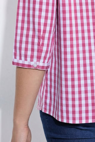 Ulla Popken Trachtenbluse in Pink