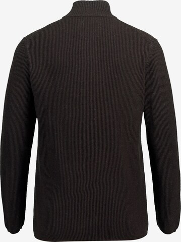 JP1880 Sweater in Brown