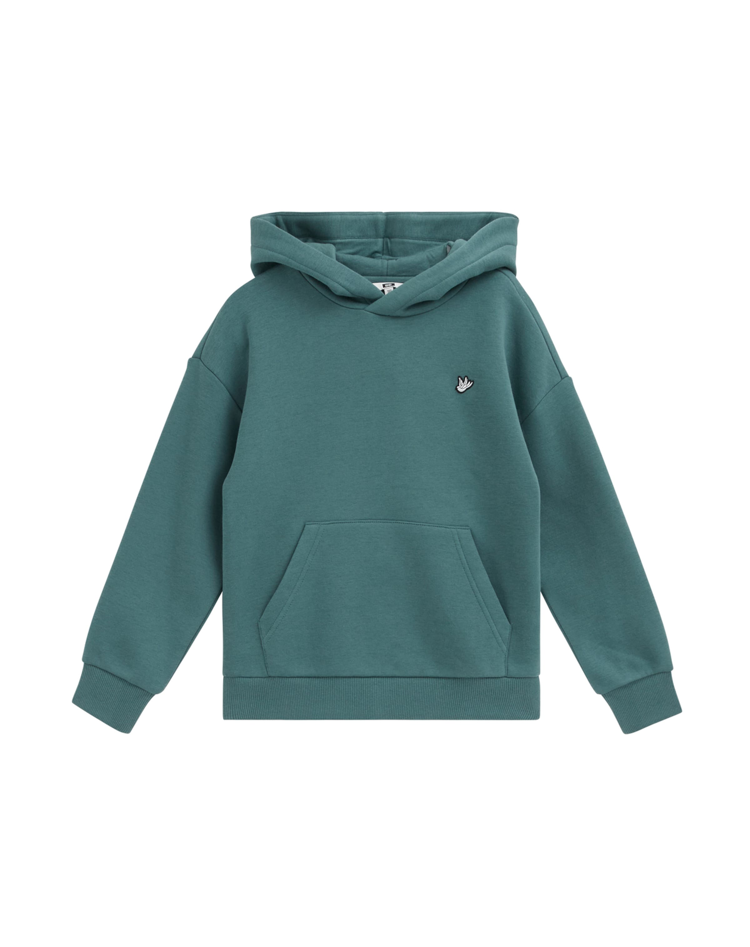 WE Fashion Sweatshirt in Groen: voorkant