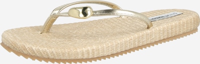 STEVE MADDEN Varvastossut 'Surfup' koossa 36 värissä kulta, Tuotenäkymä