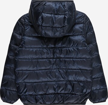 Champion Authentic Athletic Apparel Winter Jacket 'LEGACY' in Blue