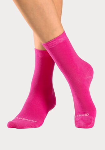 Elbsand Socken in Blau: Vorderseite