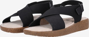 Cruz Sandals in Black