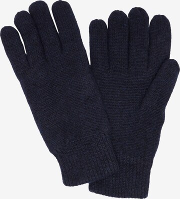 SELECTED HOMME Full Finger Gloves 'Cray' in Blue: front