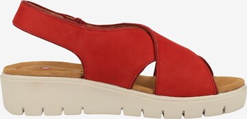 CLARKS Sandaal in Rood