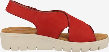 CLARKS Sandaal in Rood