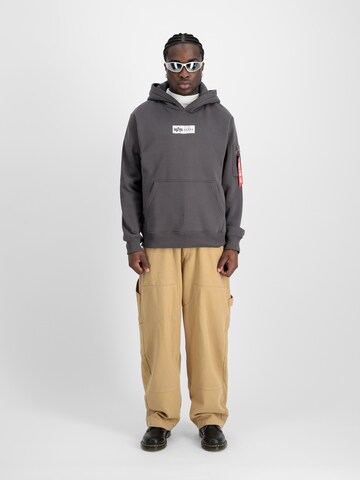 ALPHA INDUSTRIES Sweatshirt i grå