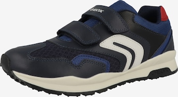 GEOX Sneakers in Blue: front