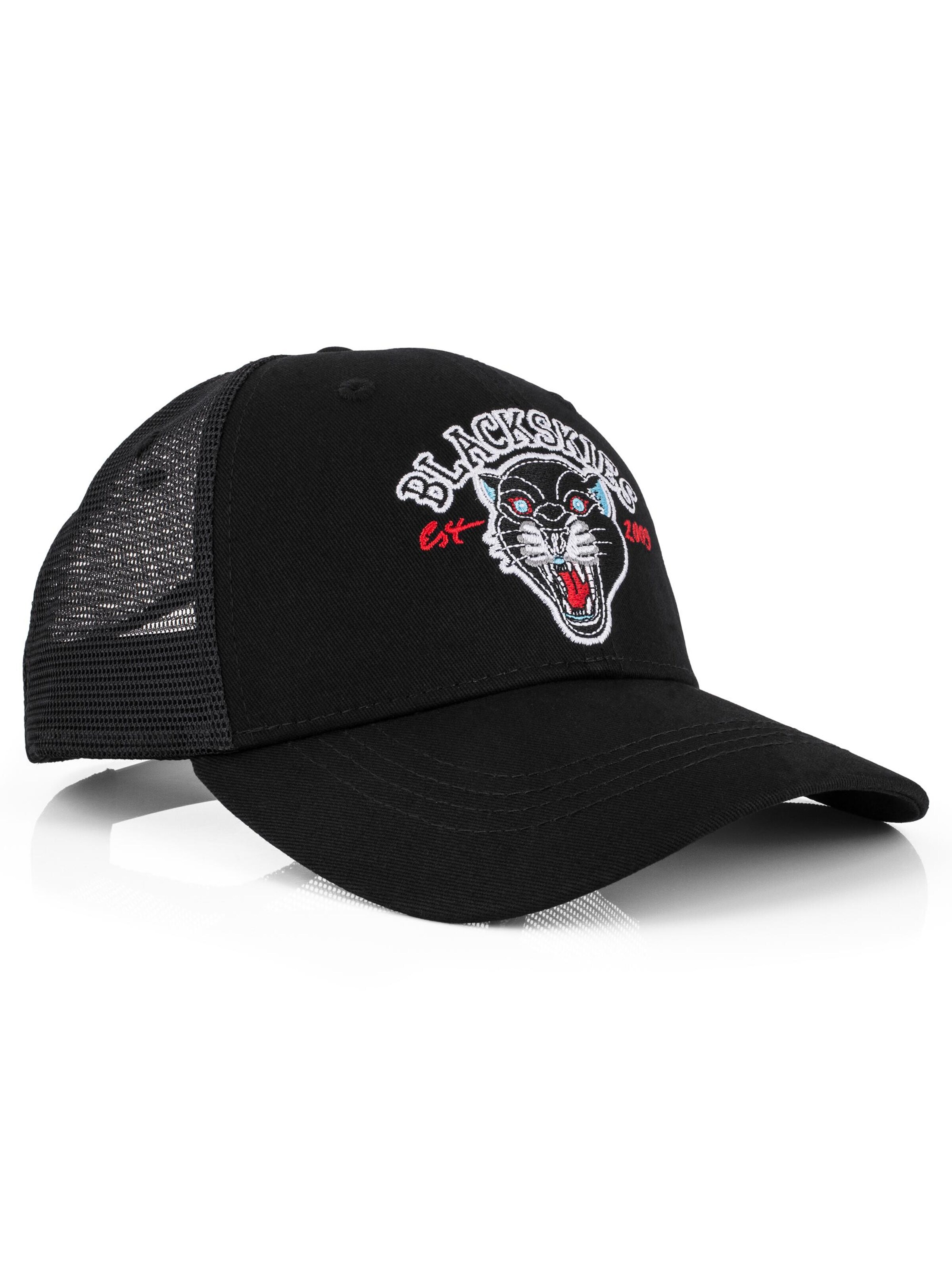 Blackskies Cap 'Traditional Tattoo'‌‌ in Grau