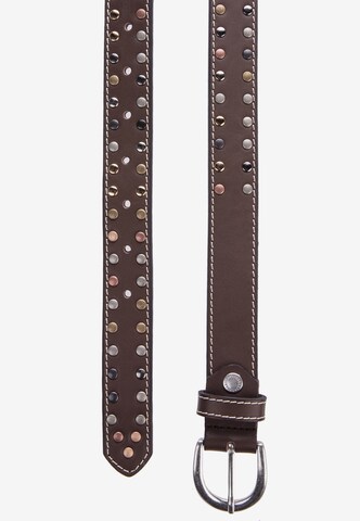 CIPO & BAXX Belt in Brown