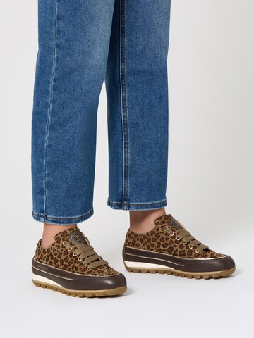 Chaussure à lacets 'JANIS STRIP CHIC' Candice Cooper en marron : devant