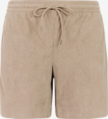PROTEST Regular Trousers 'PRTNatty' in Brown: front
