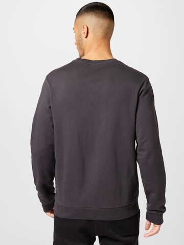 Iriedaily Sweatshirt 'Gabriel' in Grau